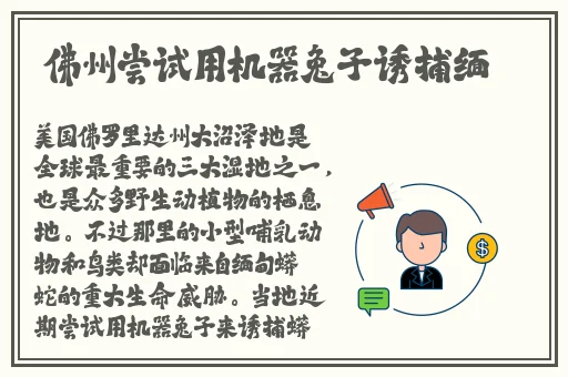 大象成品网站1688入口官网
